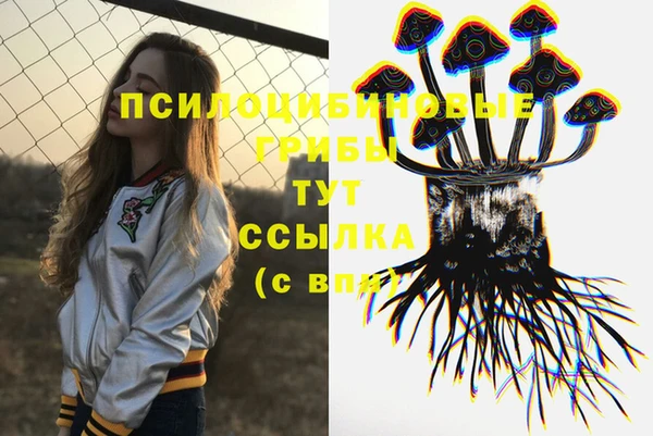 твердый Нягань