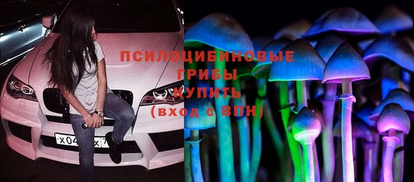 твердый Нягань