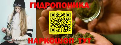 скорость Бийск