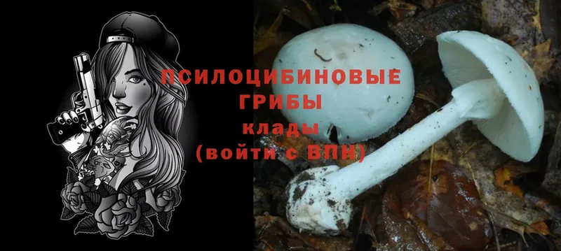 купить закладку  Петропавловск-Камчатский  Псилоцибиновые грибы Magic Shrooms 