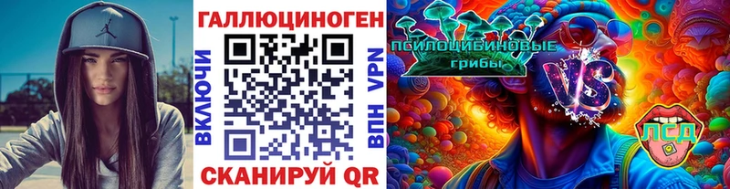 OMG как зайти  Петропавловск-Камчатский  Галлюциногенные грибы Psilocybine cubensis  где найти  