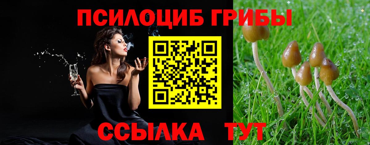 Петропавловск-Камчатский  Псилоцибиновые грибы Psilocybe  Вход с VPN  Галлюциногенные грибы мицелий 